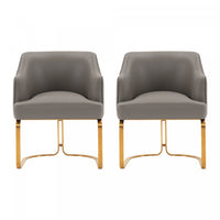 Raya Modern Wood Vegan Leather Dining Chair in Taupe - Set of 2