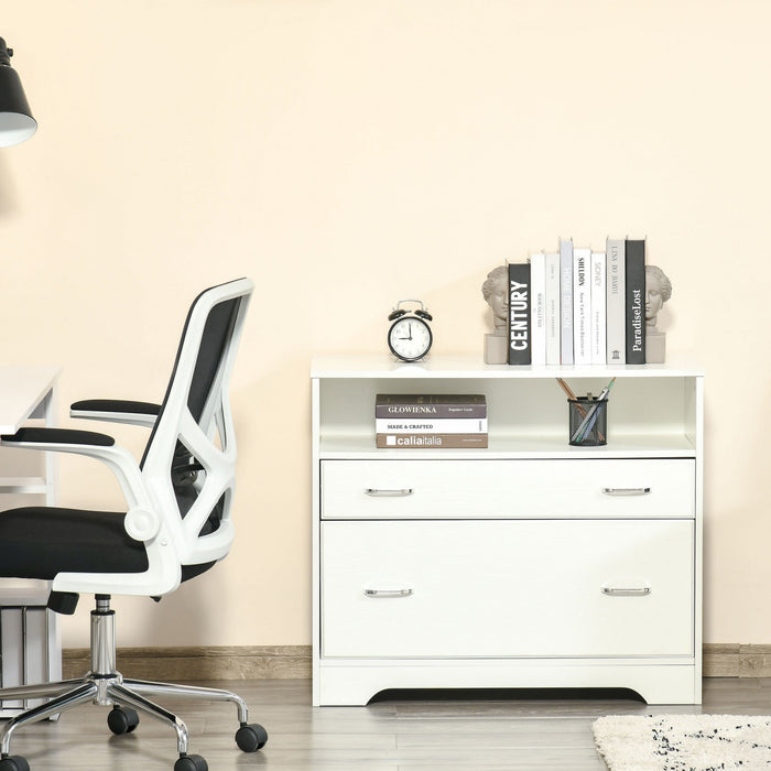 Vinsetto 2 Drawers File Cabinet With Hanging Rail