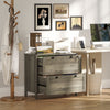 HOMCOM 2 Drawer Lateral File Cabinet for Letter, A4, Legal Size, Grey Oak