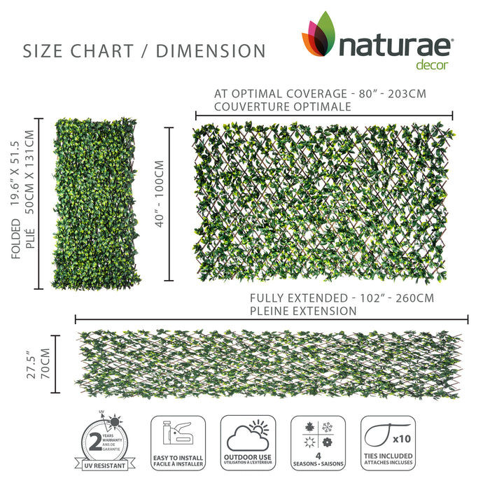 Willow Expandable Gardenia Trellis - 40\" x 80\" 