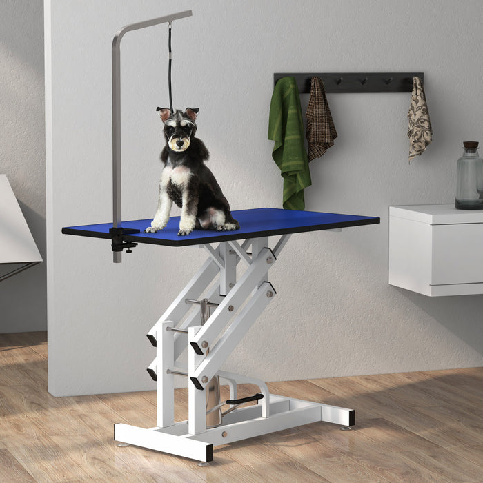 Pawhut Dog Grooming Table, Deluxe Professional Pet Grooming Table For Larger Dogs Z-lift Hydraulic With Arm Noose - Blue