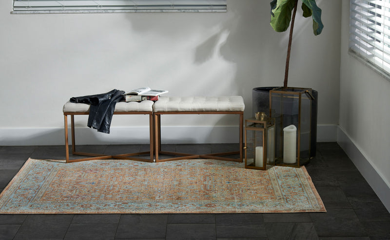 Hailey Traditional 7'10\" x 10'6\" Area Rug in Orange Indoor Area Rug