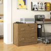 Vinsetto Filing Cabinet with 2 Drawers File Cabinet with Lock Light Brown
