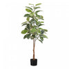 Rubber Light Green Tree 52