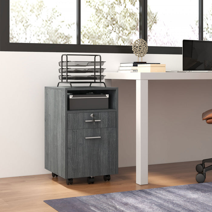 Vinsetto 2 Drawer Filing Cabinet with Lock for A4 Letter Size, Grey