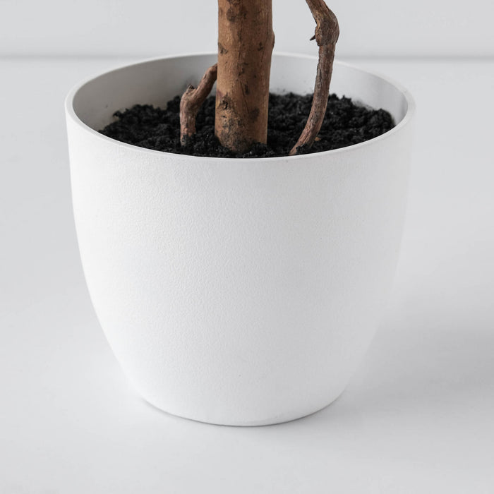 Red 59\" Poinsettia Tree