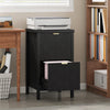HOMCOM 2 Drawer File Cabinet, Filing Cabinet Fits Letter/A4 Size, Black