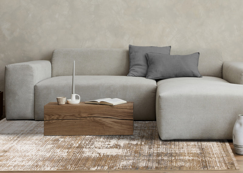 Sydney Brown Cream Grey Distressed Rug, 5'3\" x 7'10\" Indoor Area Rug