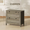 HOMCOM 2 Drawer Lateral File Cabinet for Letter, A4, Legal Size, Grey Oak