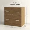 Vinsetto Filing Cabinet with 2 Drawers File Cabinet with Lock Light Brown