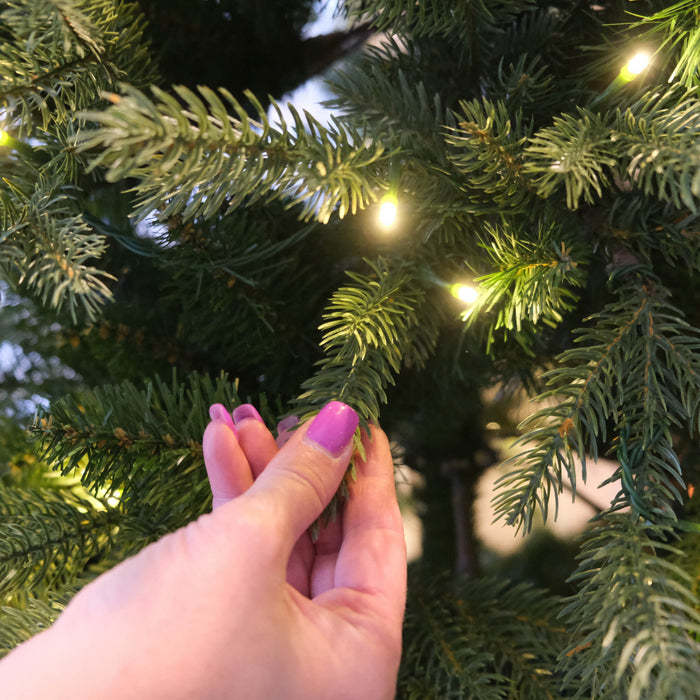 Fraser Fir 7' Pre-Lit Christmas Tree