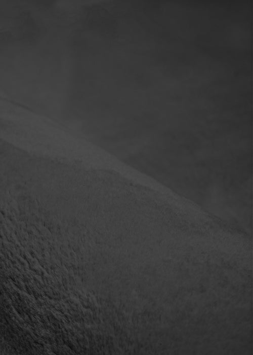 Argo Plush & Shags Charcoal Washable Rug 8'0\" x 10'0\" Indoor Area Rug