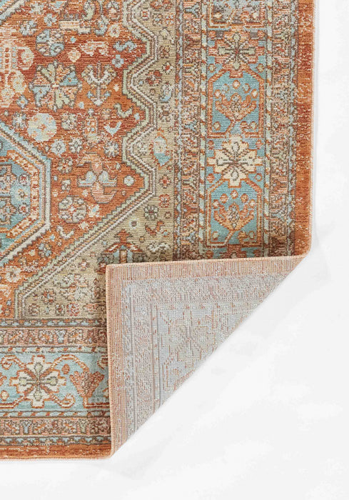 Alicia Traditional 9'3\" x 11'10\" Area Rug in Brown Indoor Area Rug