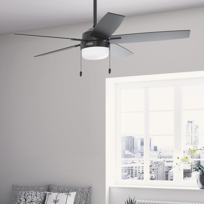 Anisten Ceiling Fan with Light Fixture - Black