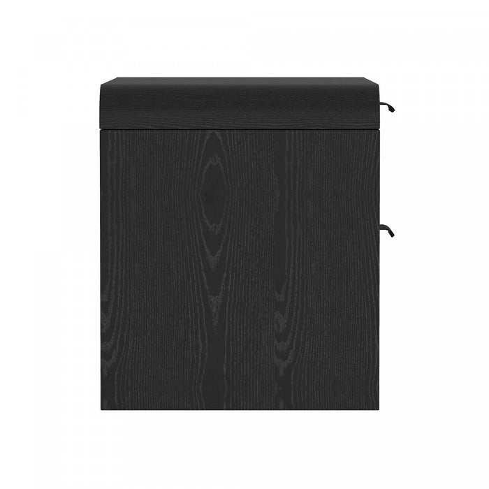 Grace Modern 28\" Nightstand in Black (2-Drawer) - Set of 2