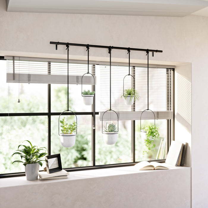 Umbra White Triflora Hanging Planter - Set of 6
