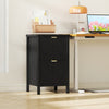 HOMCOM 2 Drawer File Cabinet, Filing Cabinet Fits Letter/A4 Size, Black