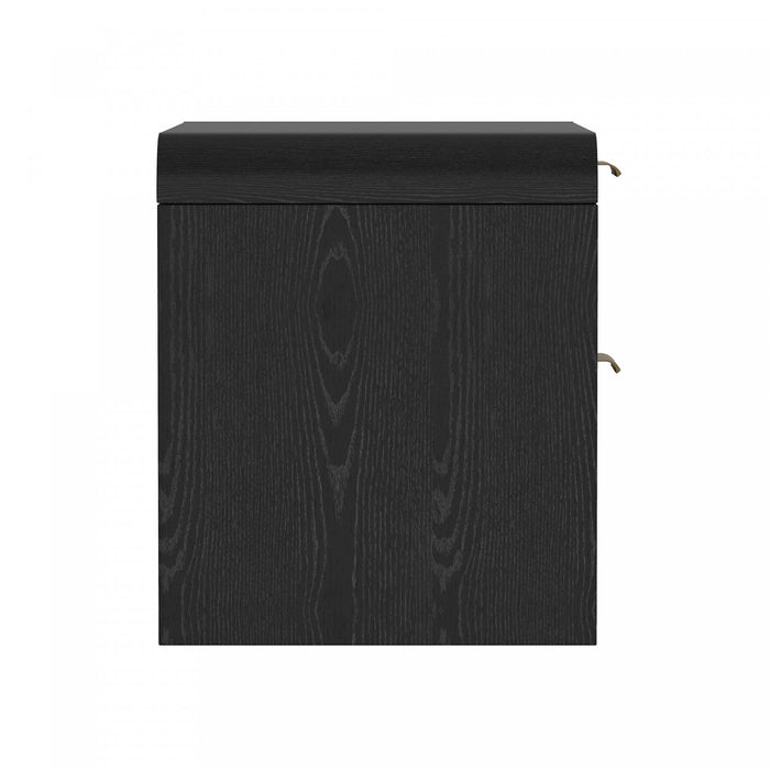 Grace Modern 28\" Nightstand in Black and Gold (2-Drawer) - Set of 2