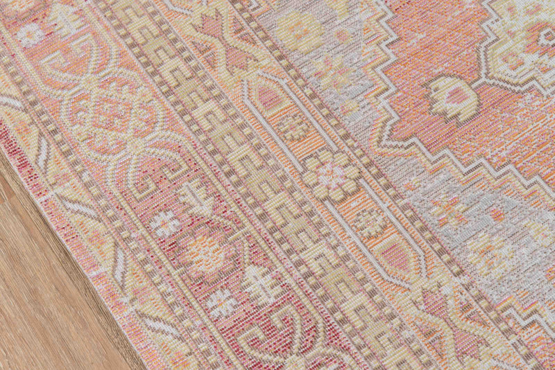 Poppy Traditional 4'0\" x 6'0\" Area Rug in Pink Indoor Area Rug