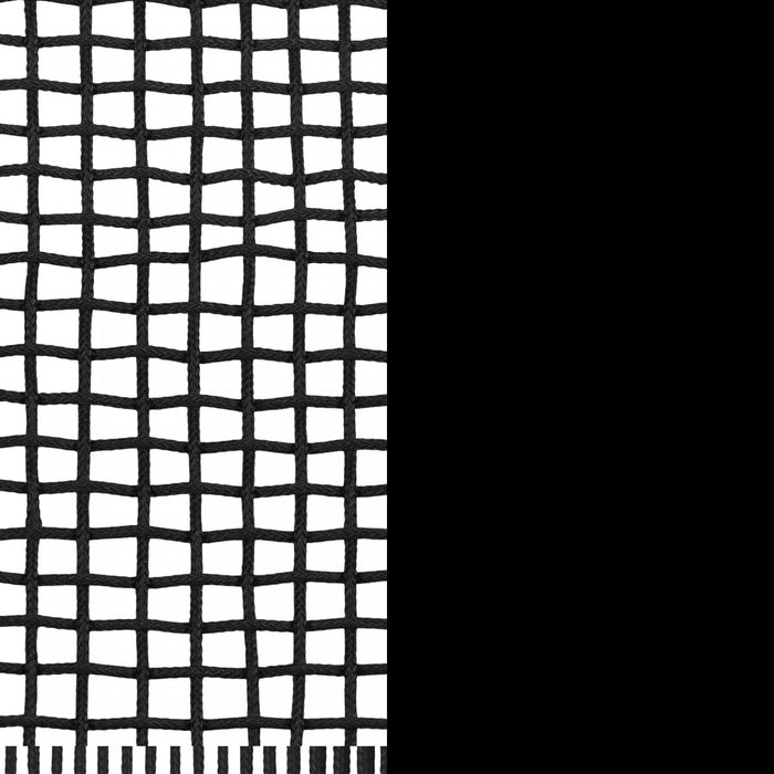 Agave Wood Woven Rope Lounge Chair - Black