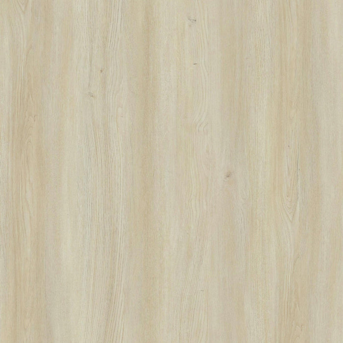 Novara Contemporary 60\" Writing Desk in Whitewashed Oak (2-Drawer)