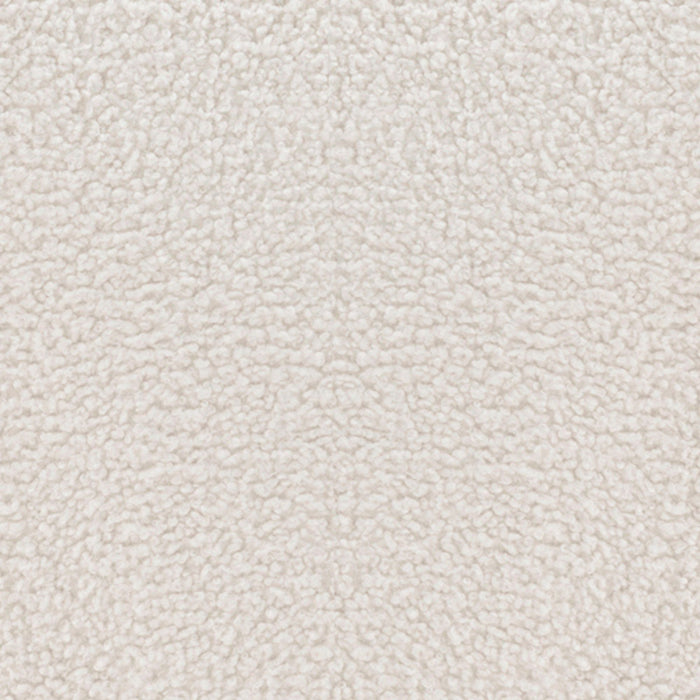 Darian Modern Boucle Lounge Chair in White - Set of 2