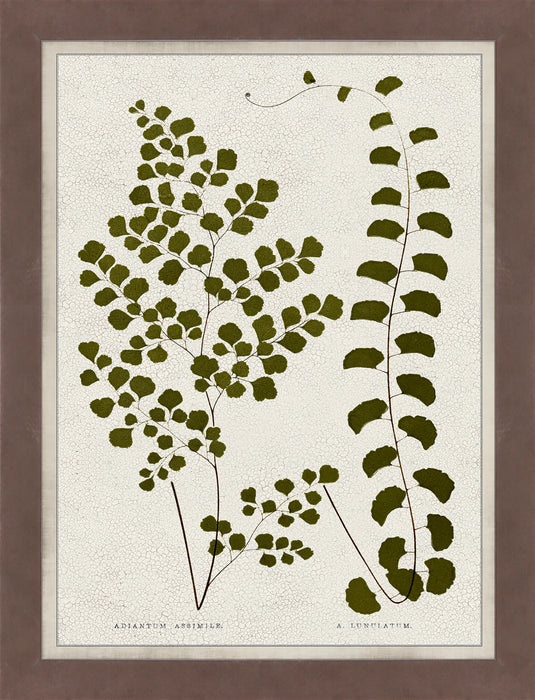 Green Leaves Framed Matted Glass Art – 26\" x 34\"