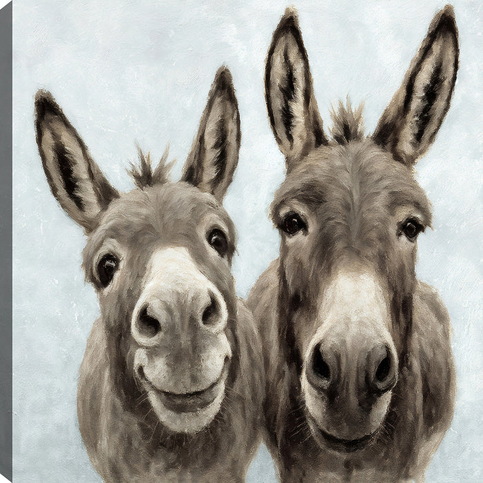 Smiling Donkeys Canvas Wall Art – 24\" x 24\"