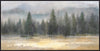 Pine Forest Framed Acrylic Art – 31\" x 61\"