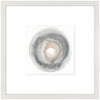 Sea Shell I Framed Artwork Raised Under Glass with Mat - 24\" x 24\"