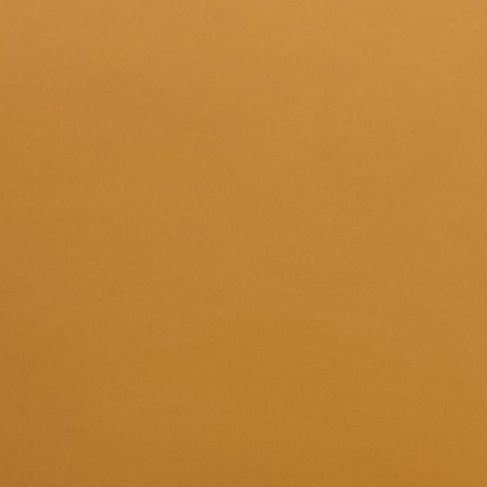 Manhattan Comfort Set of 2 Pulitzer Faux Leather Dining Chairs - Camel & Walnut