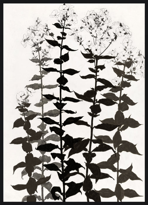 Botanica Framed High Gloss Artwork - 33\" x 45\"