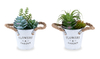 7” Artificial Potted Succulent in 5” Metal Pot – set of 2