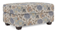 Made in Canada Customizable Sofa Lab Trunk 39