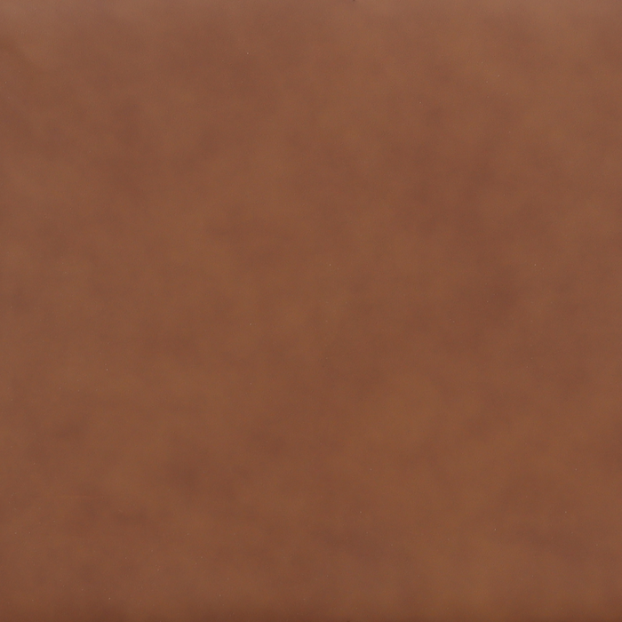Venice 65\" Traditional Genuine Leather Loveseat – Light Brown