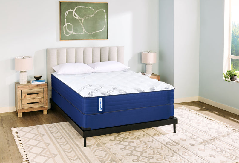 Sealy Essentials Low-Profile Queen Boxspring