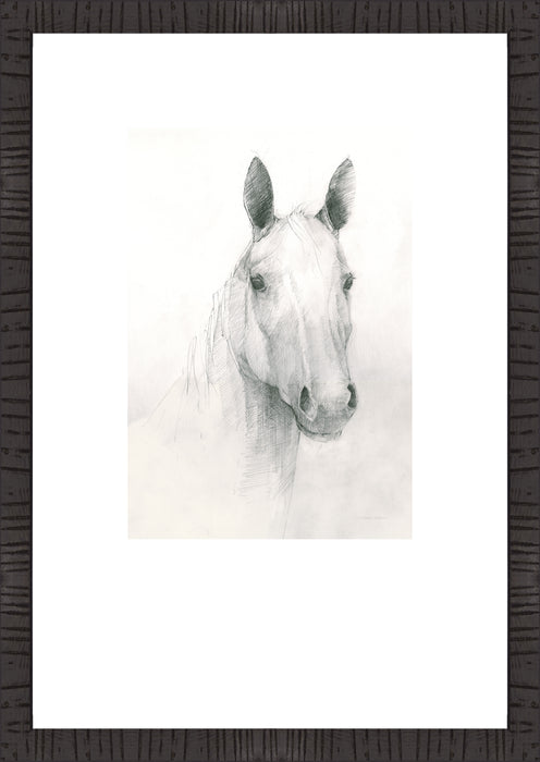 Ceaser I Framed Artwork Raised Under Glass with Mat - 16\" x  23\" 