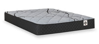 Springwall Red Cedar Tight Top Medium Twin XL Mattress-in-a-Box 