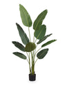 60\" Artificial Bird of Paradise in 5\" Pot