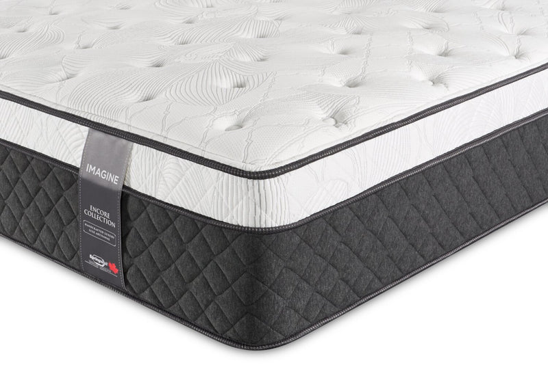 Springwall Encore Imagine Eurotop Plush Queen Mattress 