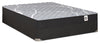Springwall White Birch Tight Top Firm Twin Mattress-in-a-Box Set