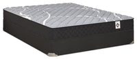Springwall White Birch Tight Top Firm Twin Mattress-in-a-Box Set 