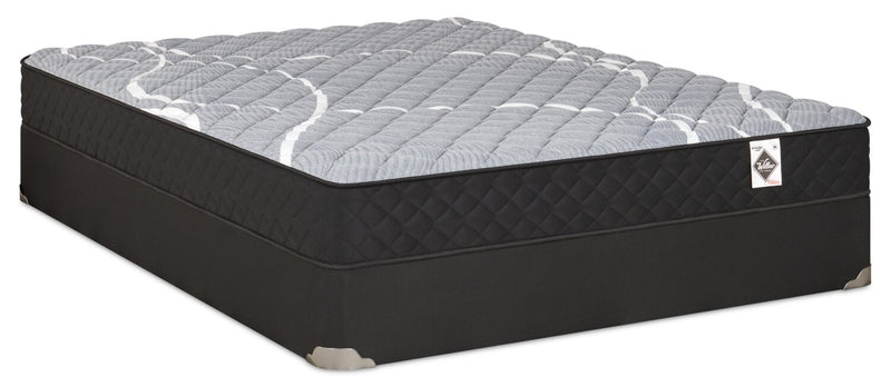 Springwall White Birch Tight Top Firm Twin Mattress-in-a-Box Set