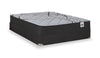 Springwall Red Cedar Tight Top Medium Queen Mattress-in-a-Box Set