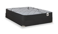 Springwall Red Cedar Tight Top Medium Queen Mattress-in-a-Box Set 