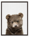 Baby Bear Framed Artwork with a Stucco Finish – 17\" x 21\"