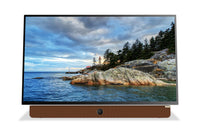 Skyworth Companion Portable™ 1080p FHD LED Display w/ Google TV (24P100)