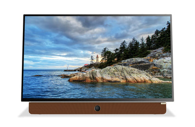Skyworth Companion Portable™ 1080p FHD LED Display w/ Google TV (24P100)  |  Écran à DEL Companion PortableMC de Skyworth Full HD 1080p avec Google TVMC (24P100)