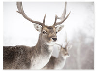 Deer Framed Artwork with Stucco Finish – 27
