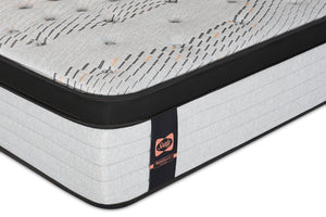 Sealy Posturepedic® Plus 1000 Series Bronson Eurotop Luxury Firm Twin XL Mattress